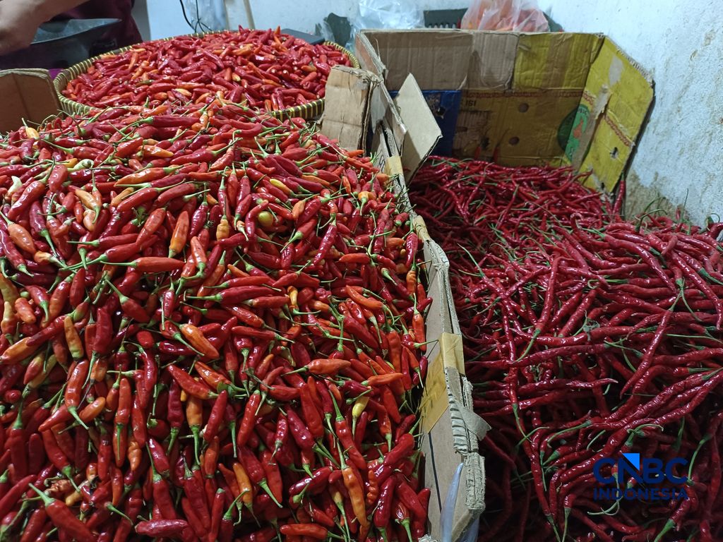 Pantauan harga pangan di Pasar Rumput, Jakarta Selatan, Selasa (21/7/2026). (CNBC Indonesia/Martyasari Rizky) Pantauan harga pangan di Pasar Rumput, Jakarta Selatan, Selasa (21/7/2026). (CNBC Indonesia/Martyasari Rizky)