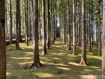 Transformasi Desa Pancawati Menjadi Desa Wisata Unggulan di Kawasan Bogor