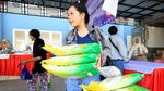 Distribusi Beras SPHP Tembus 678,87 Ribu Ton