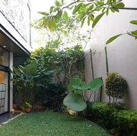 Berkonsep open space, rumah Pevita tampak nyaman dan sejuk dengan tanaman hijau. Memang dari awal intention aku ngebangun rumah ini dari nol itu aku mau punya space yang bisa nge-host banyak orang, dan juga bisa membuat banyak orang bahagia, makanya namanya itu Lovenest, terang Pevita. Foto: YouTube/Pevita Pearce