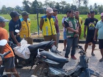 75 Hektare Sawah di Pinrang Alami Kekeringan Parah