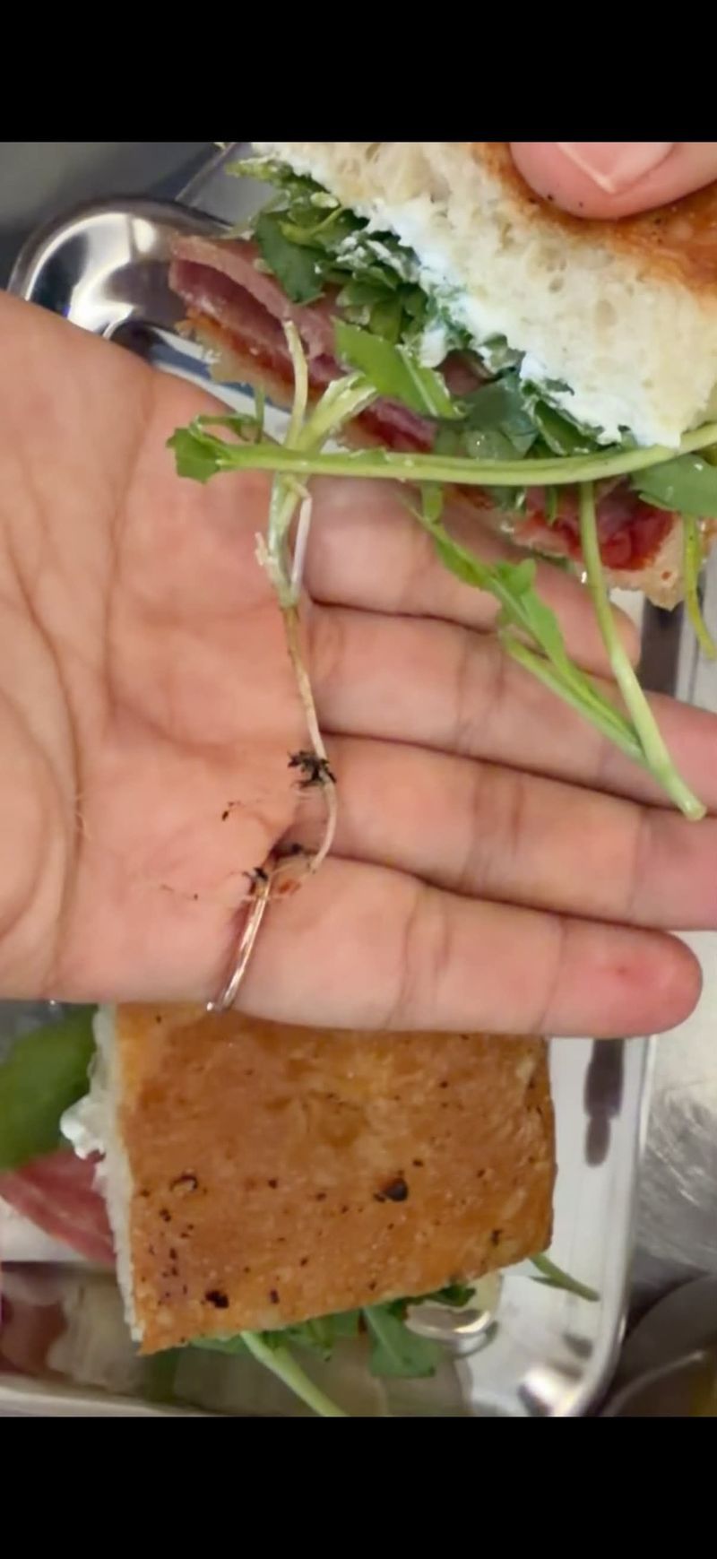 Beli Sandwich Rp 77 Ribu, Wanita Ini Dapat 'Bonus' Akar Tanaman dan Tanah