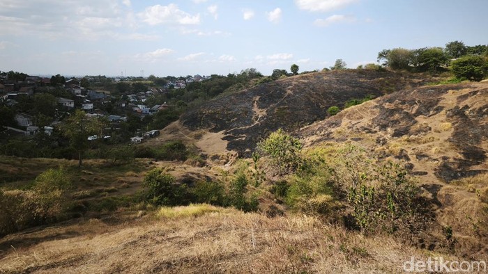 Bukit Teletubbies di Kelurahan Tandang, Kecamatan Tembalang, Kota Semarang, yang terbakar, Rabu (22/7) siang.
