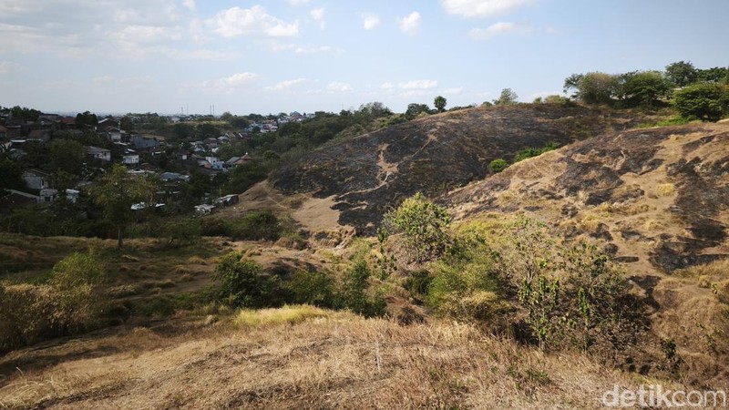 Bukit Teletubbies di Kelurahan Tandang, Kecamatan Tembalang, Kota Semarang, yang terbakar, Rabu (22/7) siang.