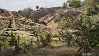Pemilik warung, Sumini (62), mengatakan dirinya mulai membuka warung sekitar pukul 10.00 WIB. Saat itu dia sudah mendapati bukit yang berada sekitar 100 meter di samping warungnya itu telah dilalap api.