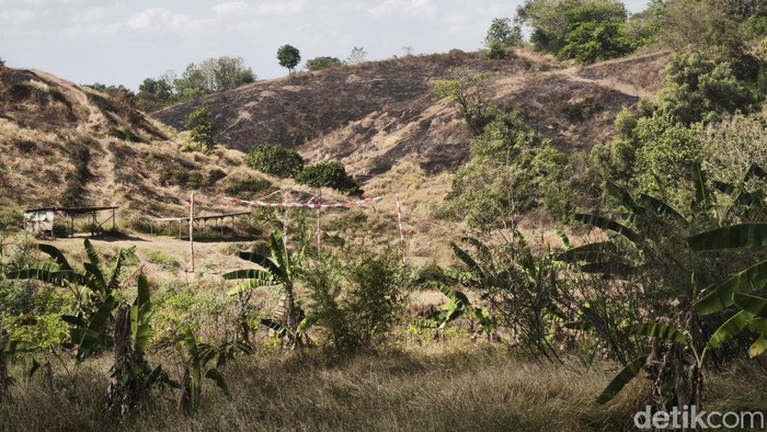 Bukit Teletubbies di Kelurahan Tandang, Kecamatan Tembalang, Kota Semarang, yang terbakar, Rabu (22/7) siang.
