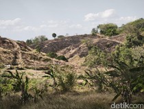 Bukit Teletubbies Tembalang Semarang Terbakar, Begini Kondisinya