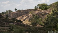 Lokasi ilalang terbakar berada di tengah-tengah perbukitan. Sebagian lainnya nampak masih kuning mengering imbas kemarau.
