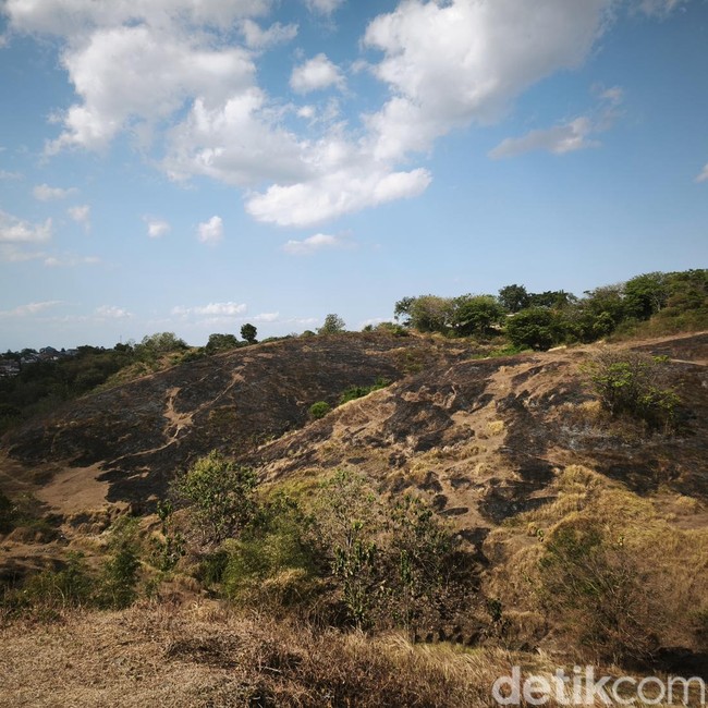Potret Menyedihkan Bukit Teletubbies Semarang Usai Terbakar