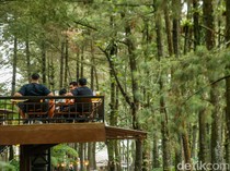 Spot Healing dan Wisata Kuliner di Bogor yang Tak Melulu Puncak
