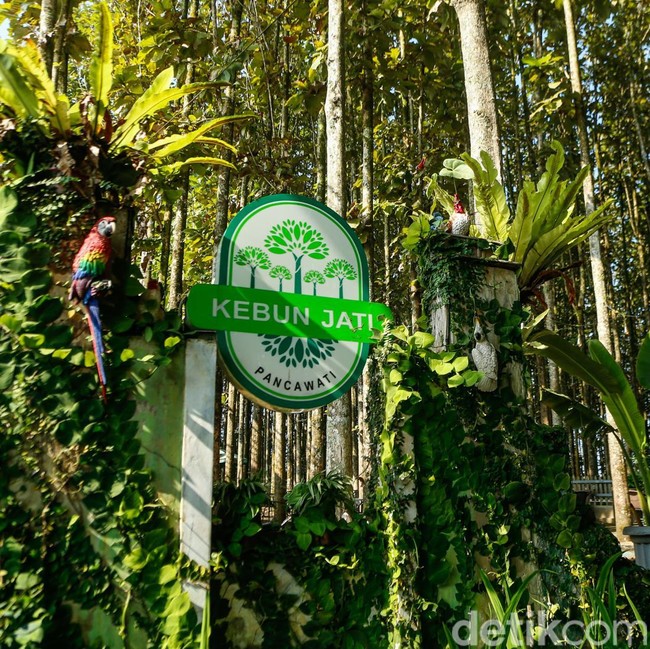 Desa Pancawati Bertransformasi Jadi Destinasi Wisata Unggulan
