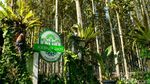 Desa Pancawati Bertransformasi Jadi Destinasi Wisata Unggulan