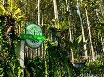 Desa Pancawati Bertransformasi Jadi Destinasi Wisata Unggulan