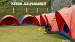 Desa Pancawati Bertransformasi Jadi Destinasi Wisata Unggulan