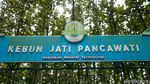Desa Pancawati Bertransformasi Jadi Destinasi Wisata Unggulan