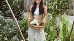 Seru! Eriska Nakesya Bagikan Momen Berkebun Panen Labu hingga Kangkung