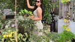 Seru! Eriska Nakesya Bagikan Momen Berkebun Panen Labu hingga Kangkung