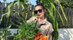 Seru! Eriska Nakesya Bagikan Momen Berkebun Panen Labu hingga Kangkung