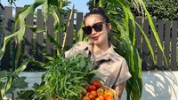 Seru! Eriska Nakesya Bagikan Momen Berkebun Panen Labu hingga Kangkung