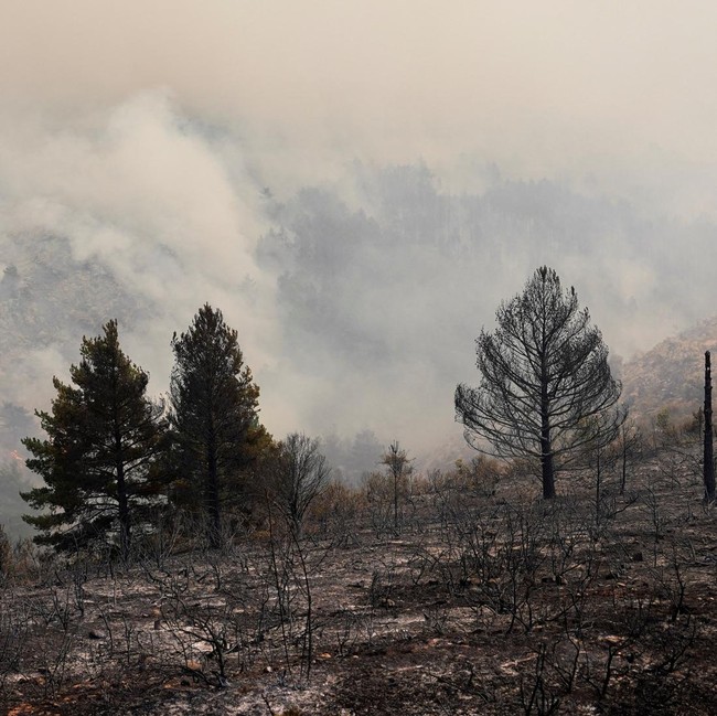 Hutan Spanyol Jadi Gundul Dilalap Kebakaran Terbesar