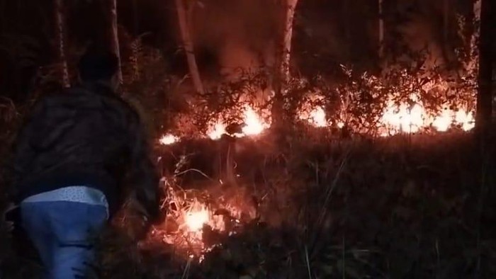 Hutan jati di Kecamatan Sampung, Kabupaten Ponorogo terbakar