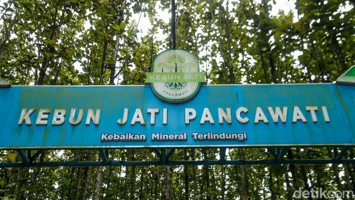 Kebun Jati Pancawati