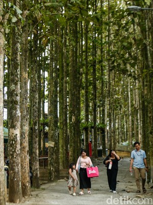 Desa Bertabur Tempat Wisata 