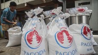 Pekerja mengecek kualitas kedelai di salah satu sentra produksi tahu dan tempe di Ternate, Maluku Utara, Rabu (22/7/2026). Dukungan anggaran sekitar Rp500 miliar disiapkan untuk menjaga stabilitas pasokan serta mendukung usaha perajin tahu dan tempe. Foto: Antara Foto/Andri Saputra