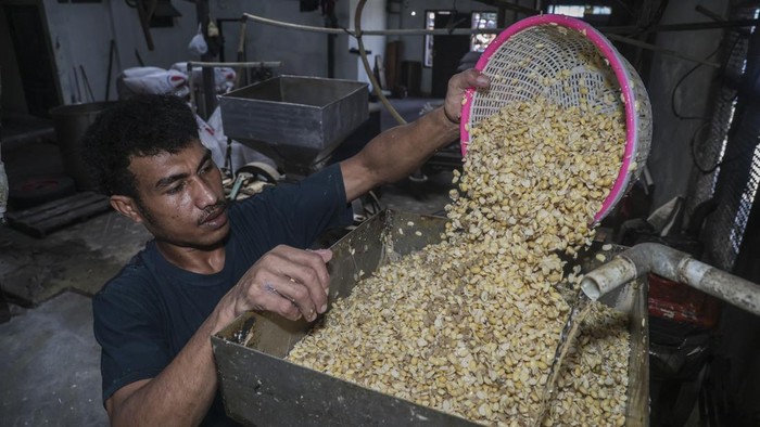Pekerja memasukkan kedelai ke dalam mesin penggiling di salah satu sentra produksi tahu dan tempe di Ternate, Maluku Utara, Rabu (22/7/2026). Pemerintah melalui Kementerian Koperasi meminta Gabungan Koperasi Produsen Tempe Tahu Indonesia (Gakoptindo) memperkuat rantai pasok kedelai impor guna menjamin ketersediaan bahan baku dan pemerintah juga menyalurkan subsidi melalui program Bantuan Stabilisasi Harga dan Pasokan (SPHP) sebesar Rp2.000 per kilogram dengan kuota awal 250.000 ton dan dukungan anggaran sekitar Rp500 miliar untuk menjaga stabilitas pasokan serta mendukung usaha perajin tahu dan tempe. ANTARAFOTO/Andri Saputra/bar