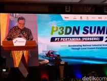 Airlangga Minta Pertamina Diversifikasi Sumber Energi, Ini Alasannya
