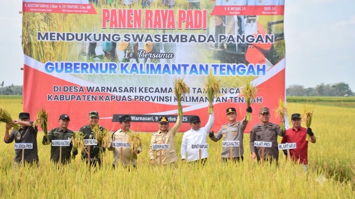 Panen raya di Kapuas