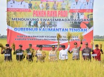 Panen Raya, Bulog Kalteng Sudah Serap 17.793 Ton Gabah