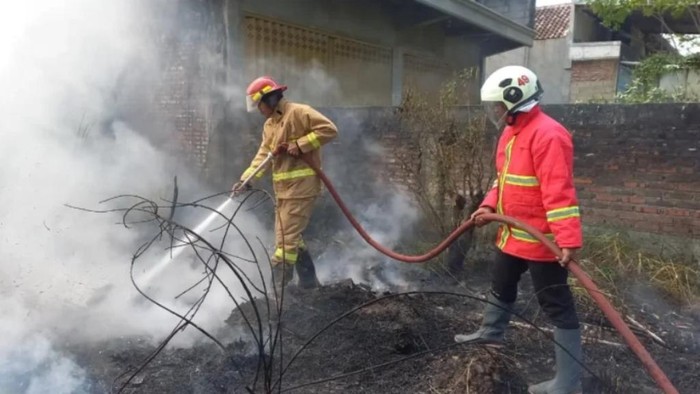Pemadam kebakaran padamkan kebakaran lahan di Pasuruan.