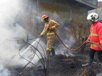 75 Kebakaran di Pasuruan Didominasi Warga Bakar Daun Kering Sembarangan