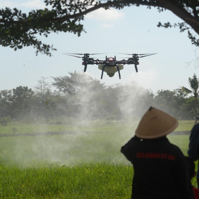 Petani Boyolali Andalkan Drone Lawan Hama Wereng