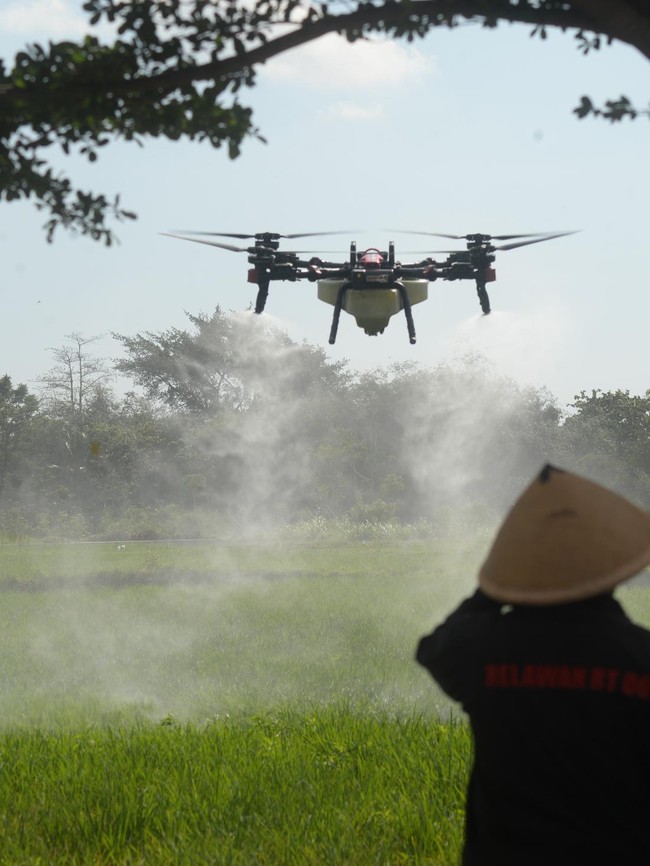 Petani Boyolali Andalkan Drone Lawan Hama Wereng