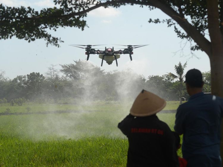 Petani Boyolali Andalkan Drone Lawan Hama Wereng