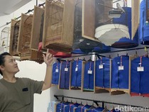 Berawal dari Hobi, Ternak Murai Batu Pria Surabaya Tembus Pasar Luar Negeri