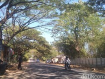 Waspada Angin Kumbang di Majalengka, Kecepatan Tembus 60 Km/Jam