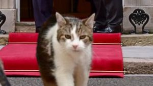 Video: Si Kucing Larry, Penghuni Tetap Downing Street