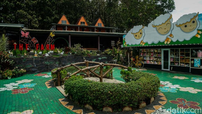 The Farm Pancawati