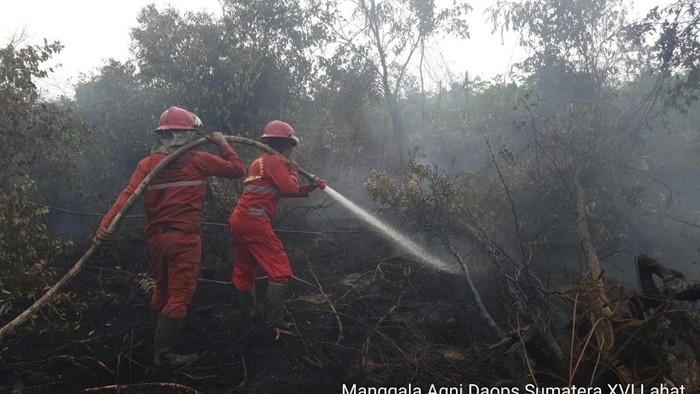 Tim Manggala Agni padamkan karhutla di PALI