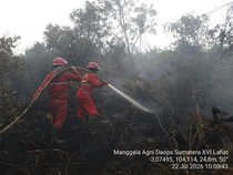 Tim Manggala Agni Padamkan 3 Hektare Lahan Terbakar di PALI