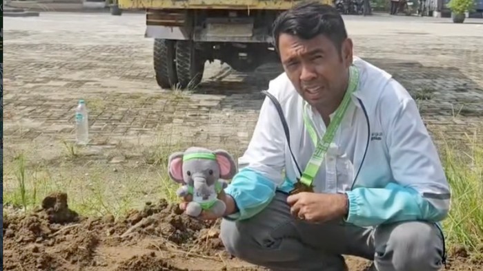 William Anderson, pelari 21K Riau Bhayangkara Run 2026 menuntaskan misi menanam pohon yang dibawa boneka anak gajah Nona Seroja, Senin (20/7/2026).