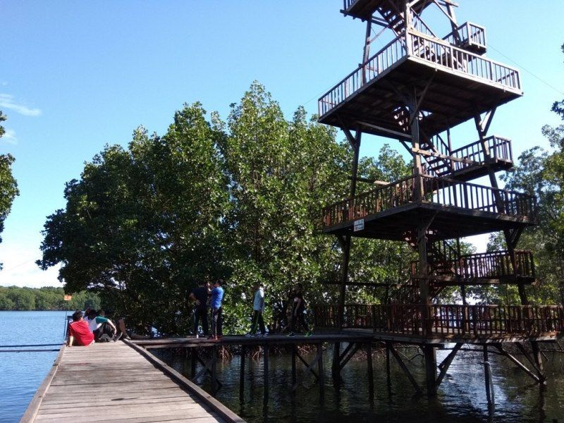 Bontang Mangrove Park. Bontang Mangrove Park. (dok DJKN)