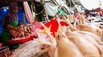 Harga Telur dan Ayam Potong Merangkak Naik di Pasar Jakarta