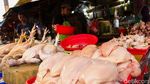 Harga Telur dan Ayam Potong Merangkak Naik di Pasar Jakarta
