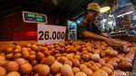 Harga Telur dan Ayam Potong Merangkak Naik di Pasar Jakarta