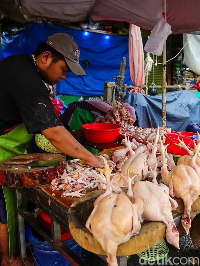 Harga Telur dan Ayam Potong Merangkak Naik di Pasar Jakarta