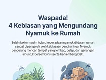 Bukan Cuma Saat Musim Hujan, Nyamuk Bisa Muncul di Rumah gegara Kebiasaan Ini